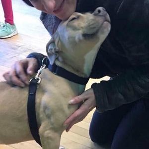 Meet your Posher, Angela